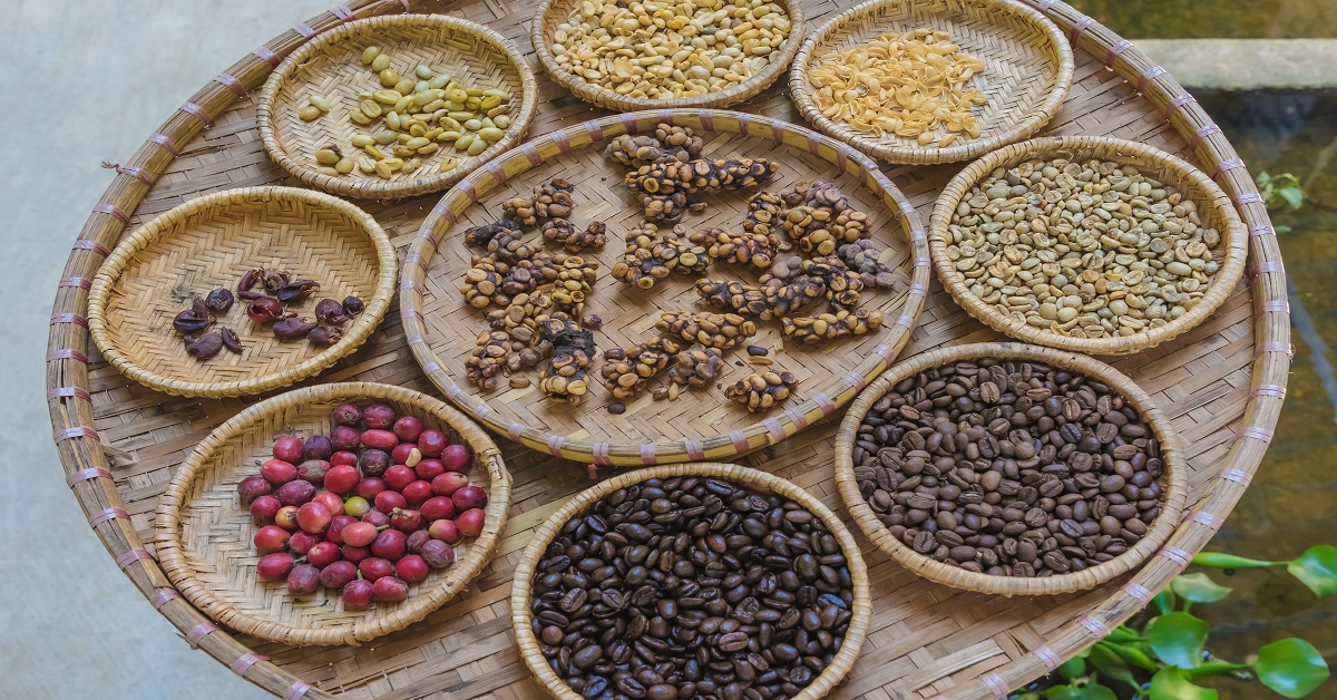 Luwak coffee, Kopi luwak is coffee that includes part-digested c